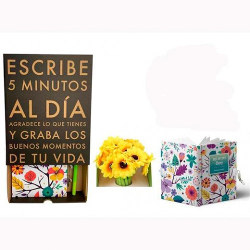 ROYMART ESTUCHE FLOWERS LOVERS CON DIARIO SECRETO 168H A5 C/CANDADO + BOLI A JUEGO
