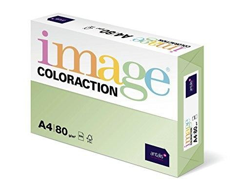 IMAGE COLORACTION PAPEL REPROGRÁFICO DIN A4 80GR PAQUETE 500H JUNGLE/VERDE PASTEL -5U-