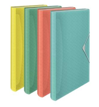 ESSELTE CARPETA ACORDEÓN COLOURŽICE 5 PESTAÑAS / 6 COMPARTIMENTOS POLIPROPILENO SURTIDOS TRANSLÚCIDOS -6UD-