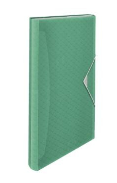 ESSELTE CARPETA ACORDEÓN COLOURŽICE 5 PESTAÑAS / 6 COMPARTIMENTOS POLIPROPILENO VERDE TRANSLÚCIDO