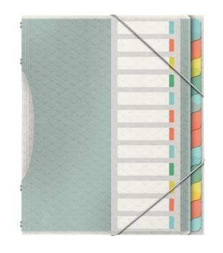 ESSELTE CLASIFICADOR COLOURŽICE 12 SEPARADORES 266X320X20 MM POLIPROPILENO
