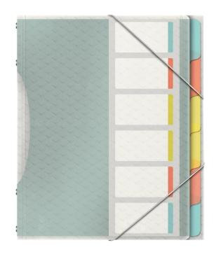 ESSELTE CLASIFICADOR COLOURŽICE 6 SEPARADORES 266X320X20 MM POLIPROPILENO COLORES SURTIDOS